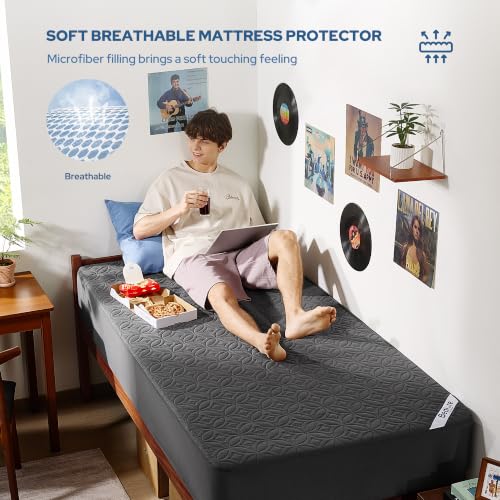 BEDLORE Waterproof Mattress Protector