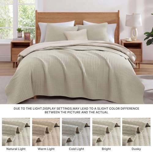 WRENSONGE 3-Piece Lightweight Quilt Bedding Set