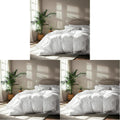 Serta Goose Feather Down Fiber Cotton Comforter