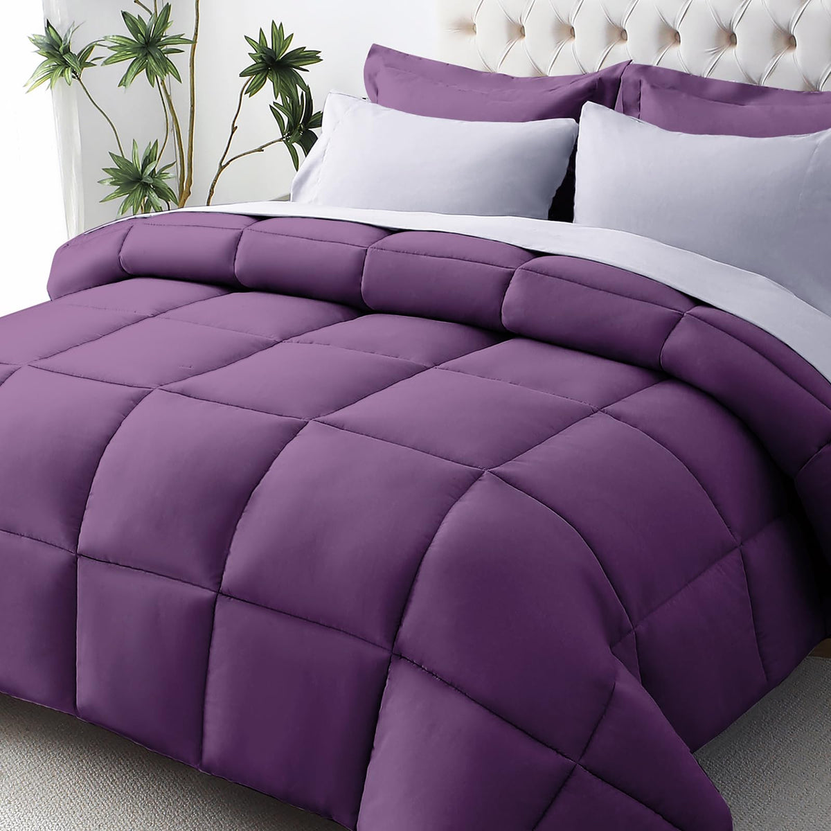 JollyVogue Complete Bed-in-a-Bag Comforter Set